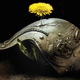Illustration for article titled Author Ken Liu Explains "Silkpunk" to Us